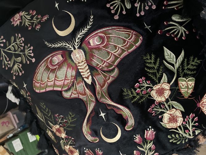 Aleksandra, Wroclaw Aleksandra, Wroclaw