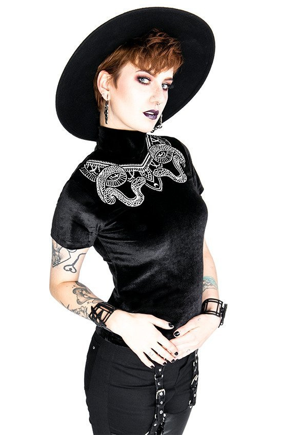 Black Velvet Top with Snake embroidery